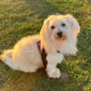 Meet your Posher, Acy